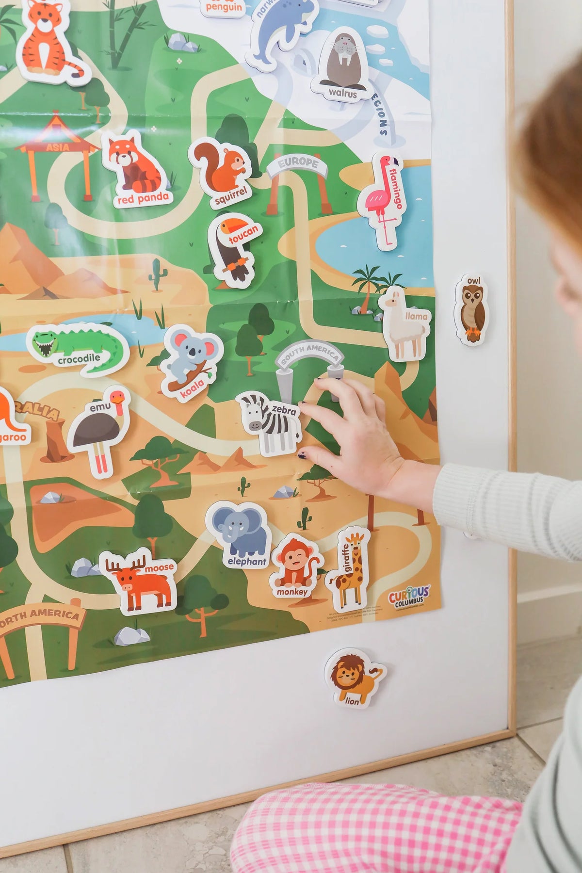 Magnetic Zoo Animals - 28pc Fridge magnets