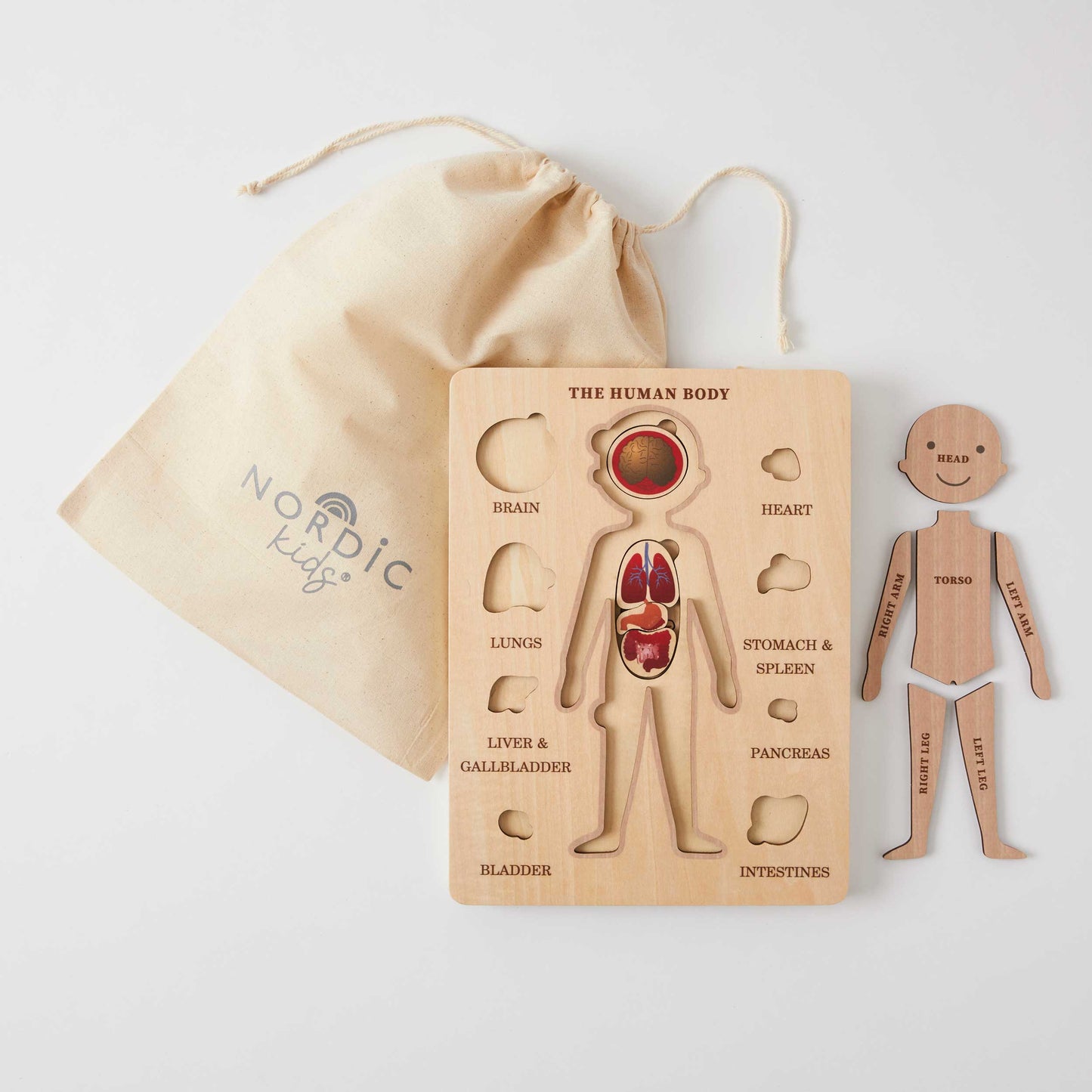 Wooden Human Body Puzzle
